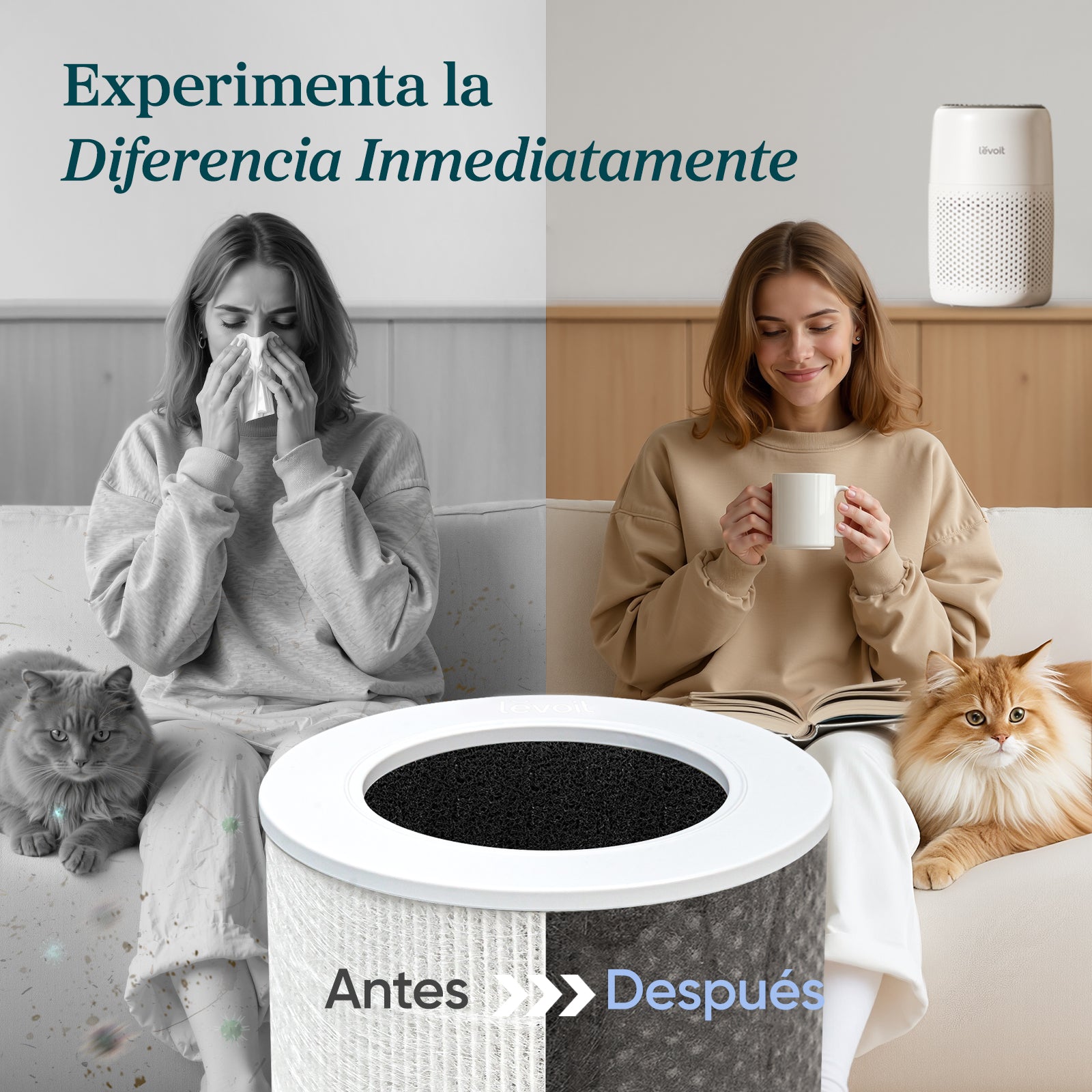 Levoit Core Mini Purificador de Aire