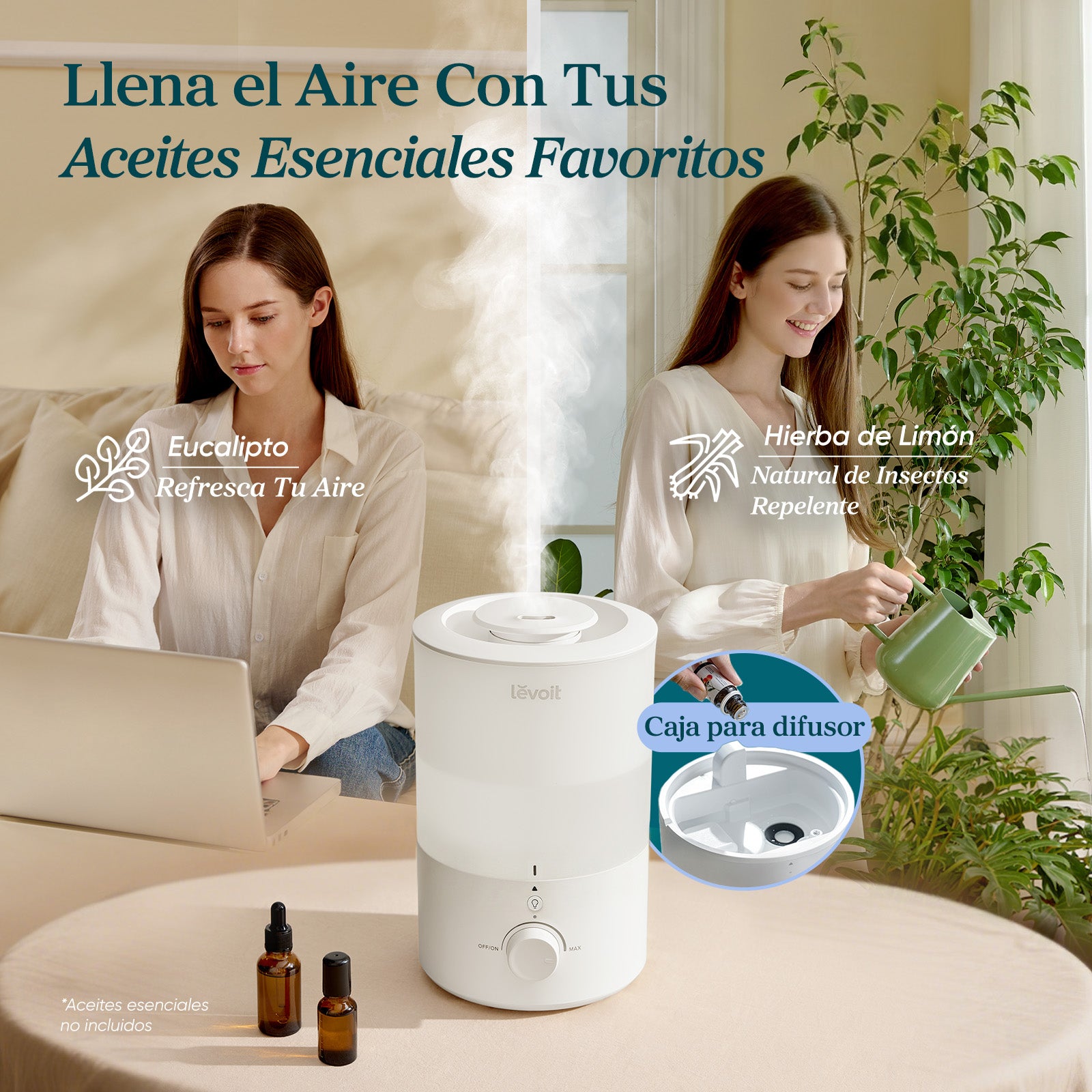 Levoit Dual 150 Humidificador