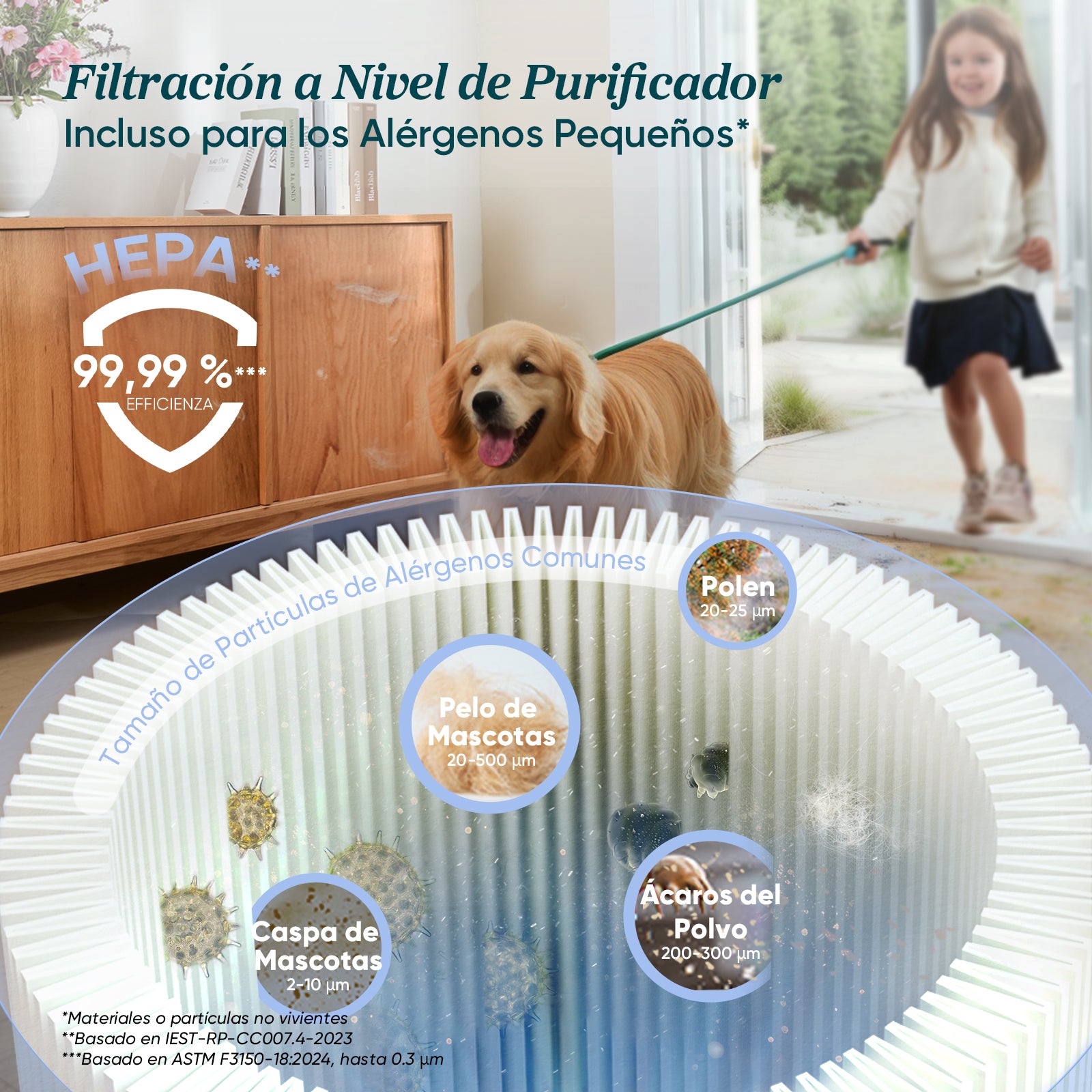 Levoit LVAC-300 — Aspirador Potente Sin Cable con Filtro HEPA para Hogares Grandes